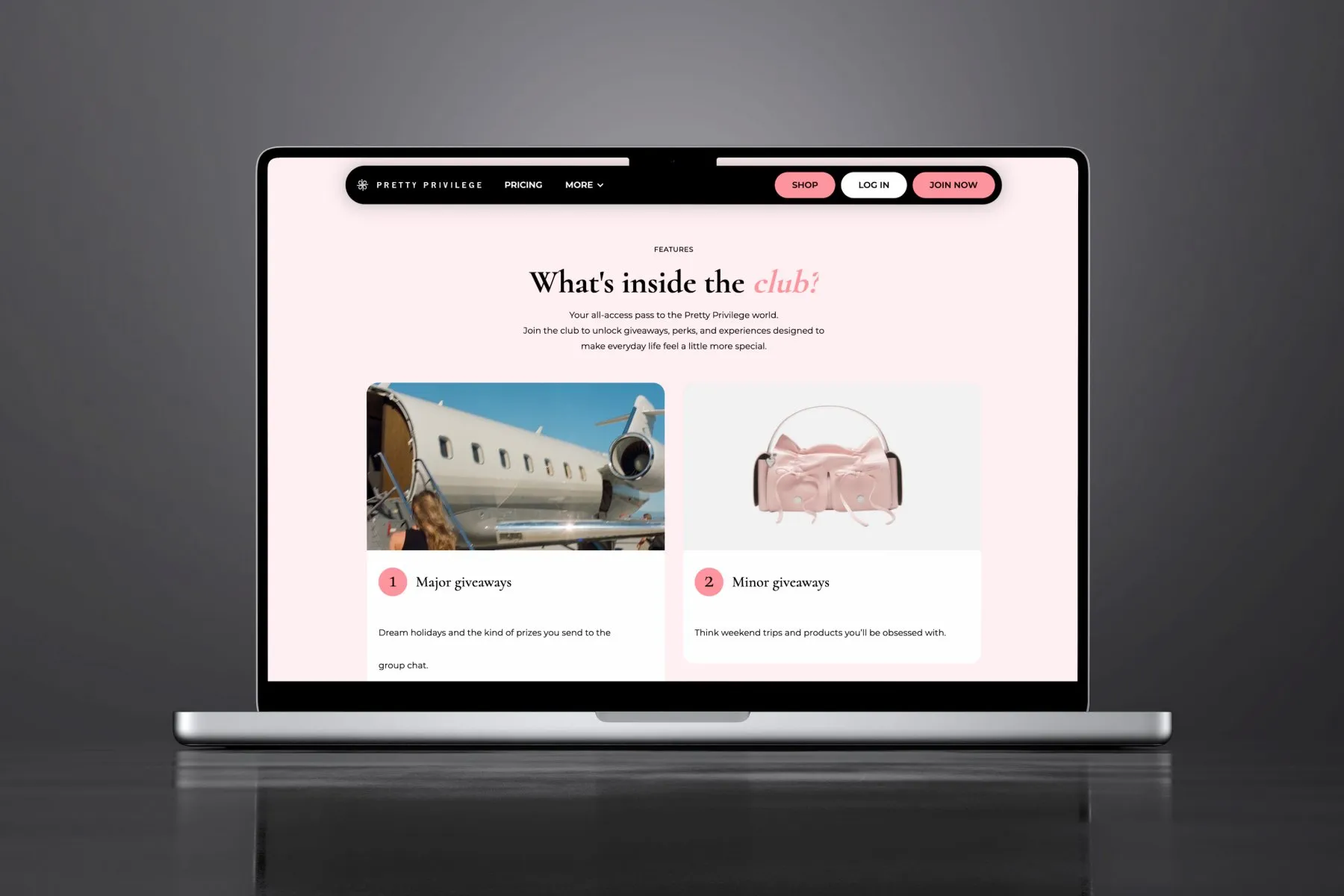 Pretty Privilege website on a large screen